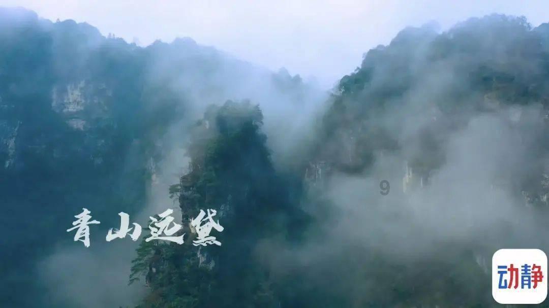 独狼逃跑